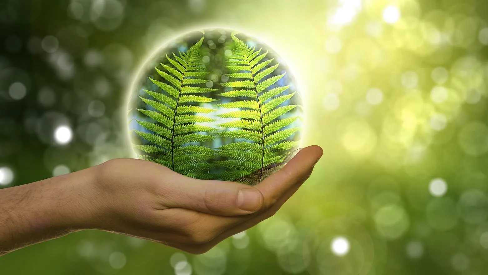 Eco Friendly vysavač 